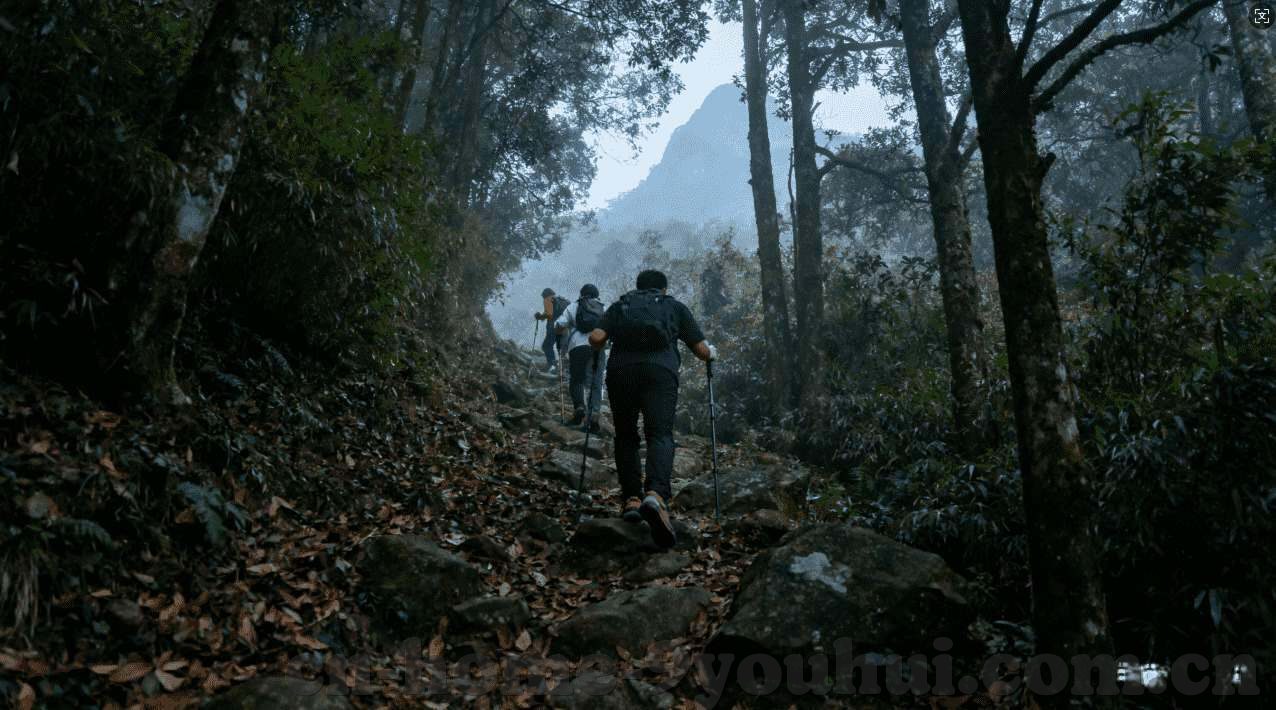 江南·体育登录入口-江南·体育登录入口，解锁江南水乡的体育激情